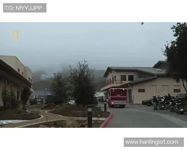 震惊全球的飞机坠毁事件揭示了哪位足球明星的悲惨命运 震惊全球的飞机坠毁事件揭示了哪位足球明星的悲惨命运